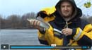 Sandacz jesienną porą